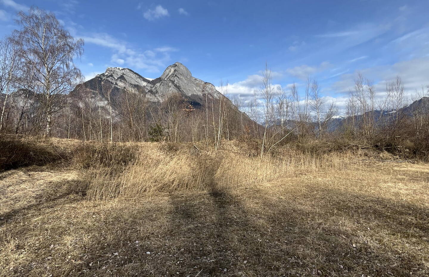 Feerbach, Vilters-Wangs SG / Laichgewässer vor Sanierung