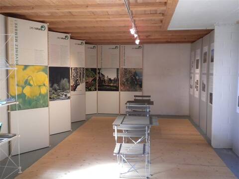 Ausstellung