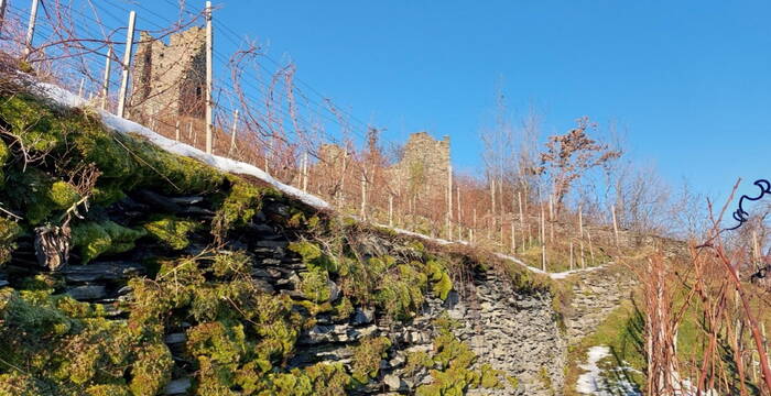 Trockensteinmauern Freudenberg