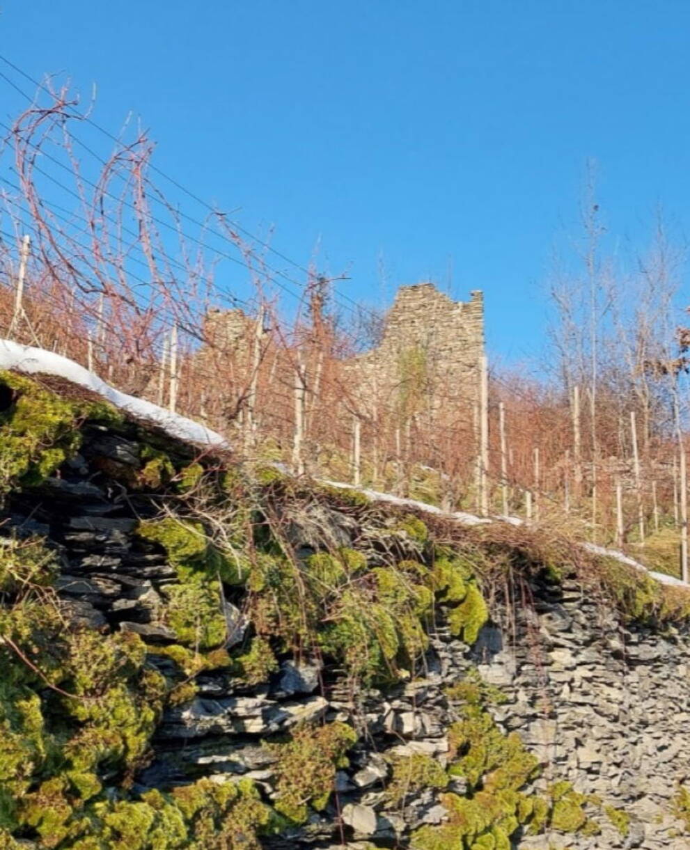 Trockensteinmauern Freudenberg