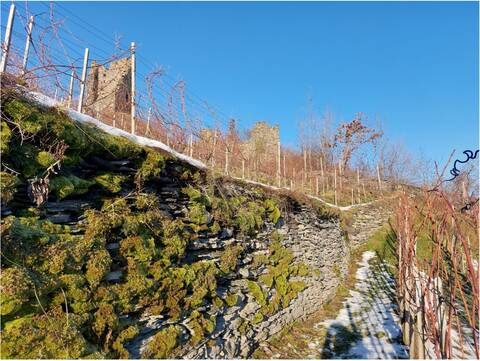 Trockensteinmauern Freudenberg