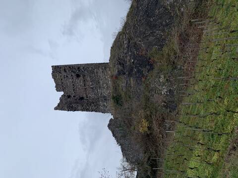 Burgruine Freudenberg, Bad Ragaz